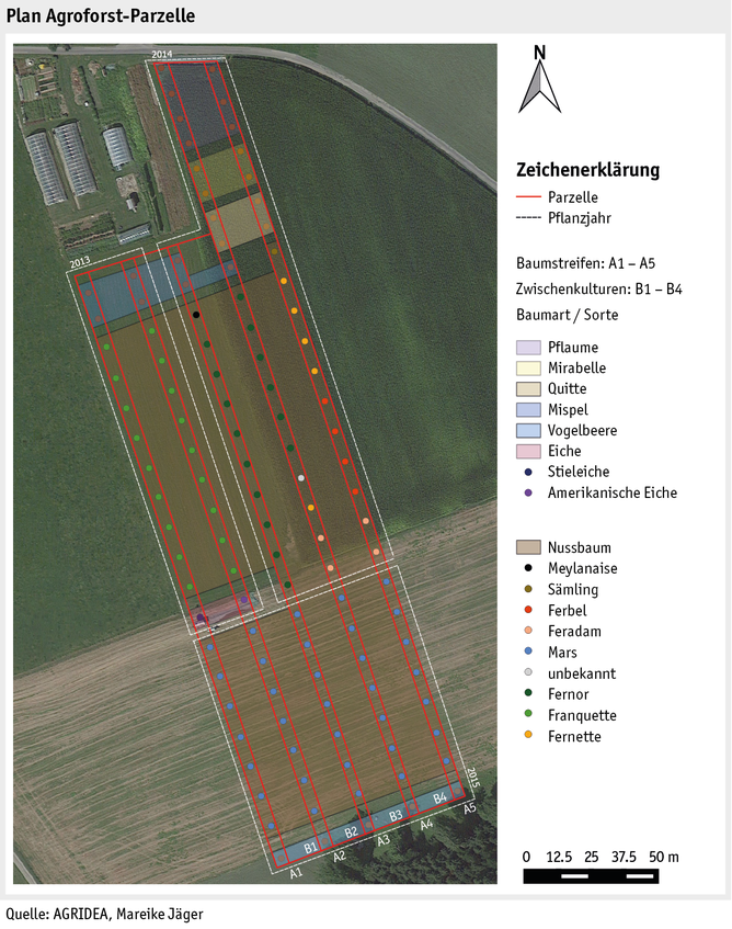 Zoom: ab19_datentabelle_grafik_politik_agroforst.png