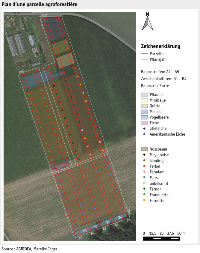 Zoom: ab19_datentabelle_grafik_politik_agroforst_f.png