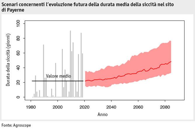 Zoom: ab2019_umwelt_klima_trockenheit_payerne_i.jpg