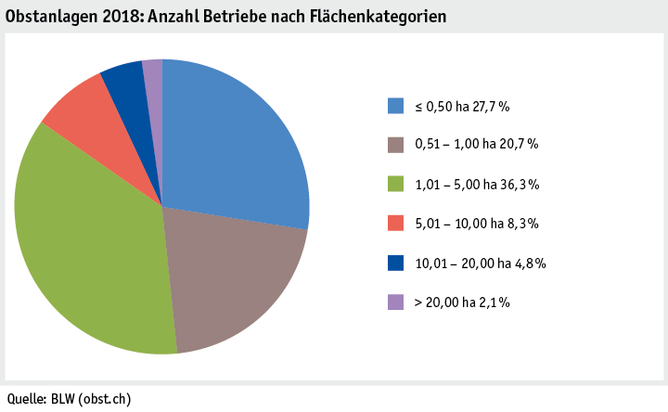 Zoom: ab19_produktion_pflanzli_produktion_grafik_obstanlagen_betriebe_flaechenkat_2018_d.png