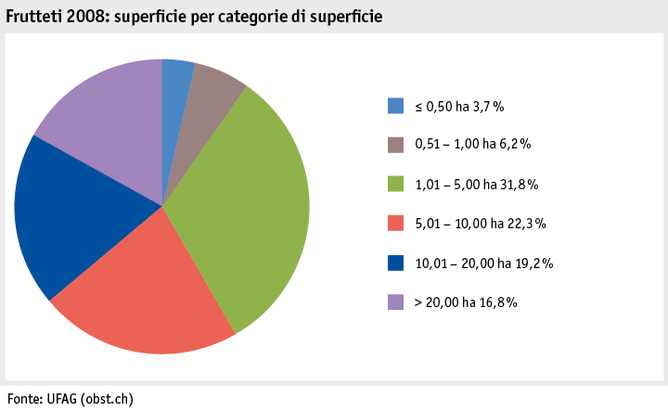 Zoom: ab19_produktion_pflanzli_produktion_grafik_obstanlagen_flaeche_flaechenkat_2008_i.png