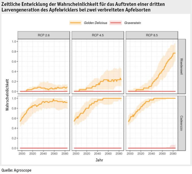 Zoom: ab2019_umwelt_klima_apfelwickler_d.jpg