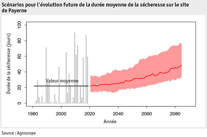 Zoom: ab2019_umwelt_klima_trockenheit_payerne_f.jpg