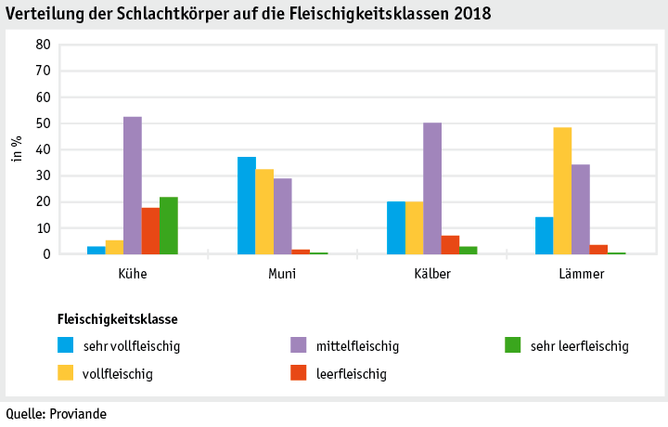 Zoom: ab19_datentabelle_grafik_politik_prod_viehwirtschaft_fleischigkeitsklasse_d.png