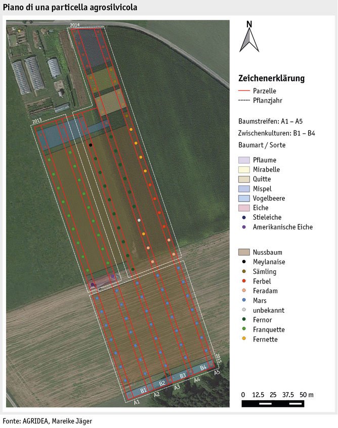 Zoom: ab19_datentabelle_grafik_politik_agroforst_i.png