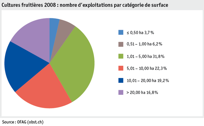 Zoom: ab19_produktion_pflanzli_produktion_grafik_obstanlagen_flaeche_flaechenkat_2008_f.png