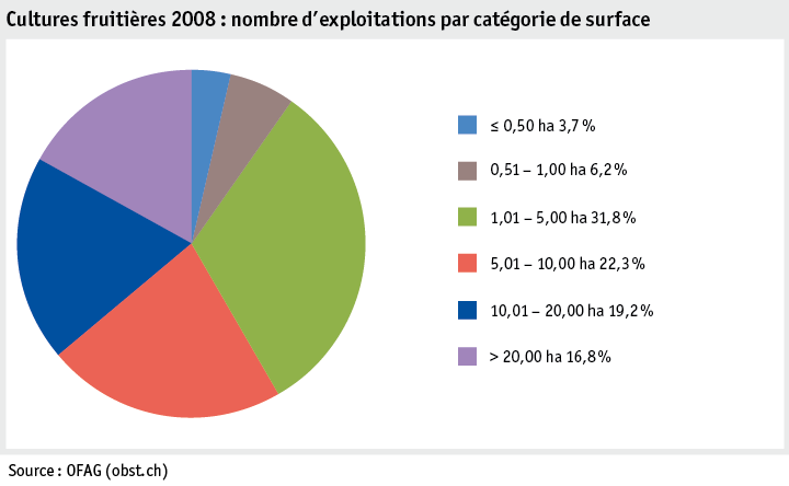 Zoom: ab19_produktion_pflanzli_produktion_grafik_obstanlagen_flaeche_flaechenkat_2008_f.png