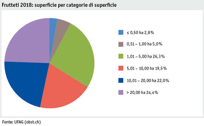 Zoom: ab19_produktion_pflanzli_produktion_grafik_obstanlagen_flaeche_flaechenkat_2018_i.png