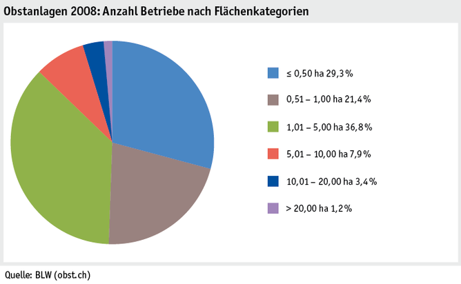 Zoom: ab19_produktion_pflanzli_produktion_grafik_obstanlagen_betriebe_flaechenkat_2008_d.png
