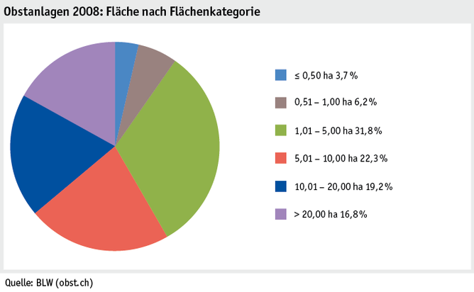 Zoom: ab19_produktion_pflanzli_produktion_grafik_obstanlagen_flaeche_flaechenkat_2008_d.png