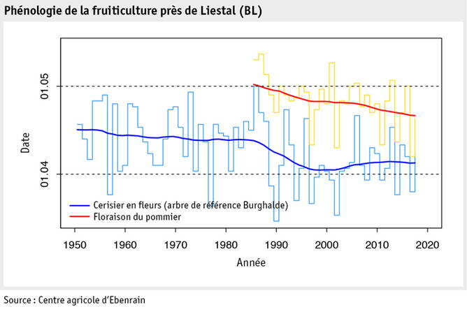 Zoom: ab2019_umwelt_klima_phaenologie_obstbau_f.jpg