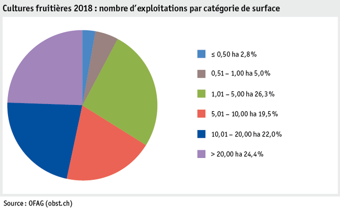 Zoom: ab19_produktion_pflanzli_produktion_grafik_obstanlagen_flaeche_flaechenkat_2018_f.png