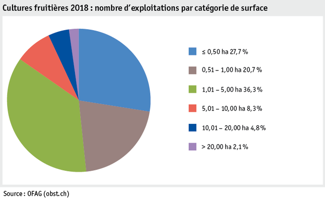 Zoom: ab19_produktion_pflanzli_produktion_grafik_obstanlagen_betriebe_flaechenkat_2018_f.png